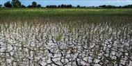 پاورپوینت خشکسالی و سرمازدگی و مخاطرات کشاورزی