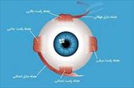 تحقیق ساختار چشم